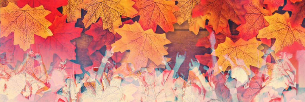 Access road organisateur d'événement Automne 2023